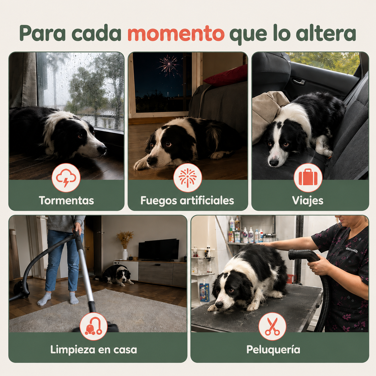 Orejeras Antirruidos para Perros