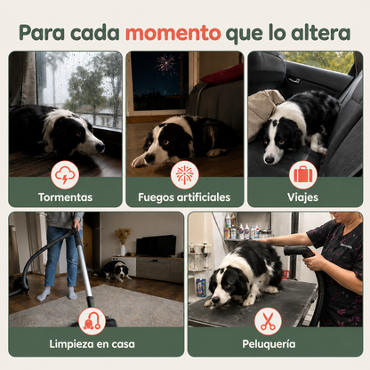 Orejeras Antirruidos para Perros